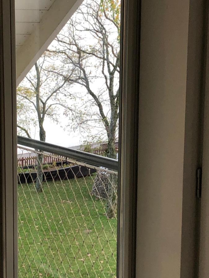 Apartament Mariu Peledos Preila Zewnętrze zdjęcie